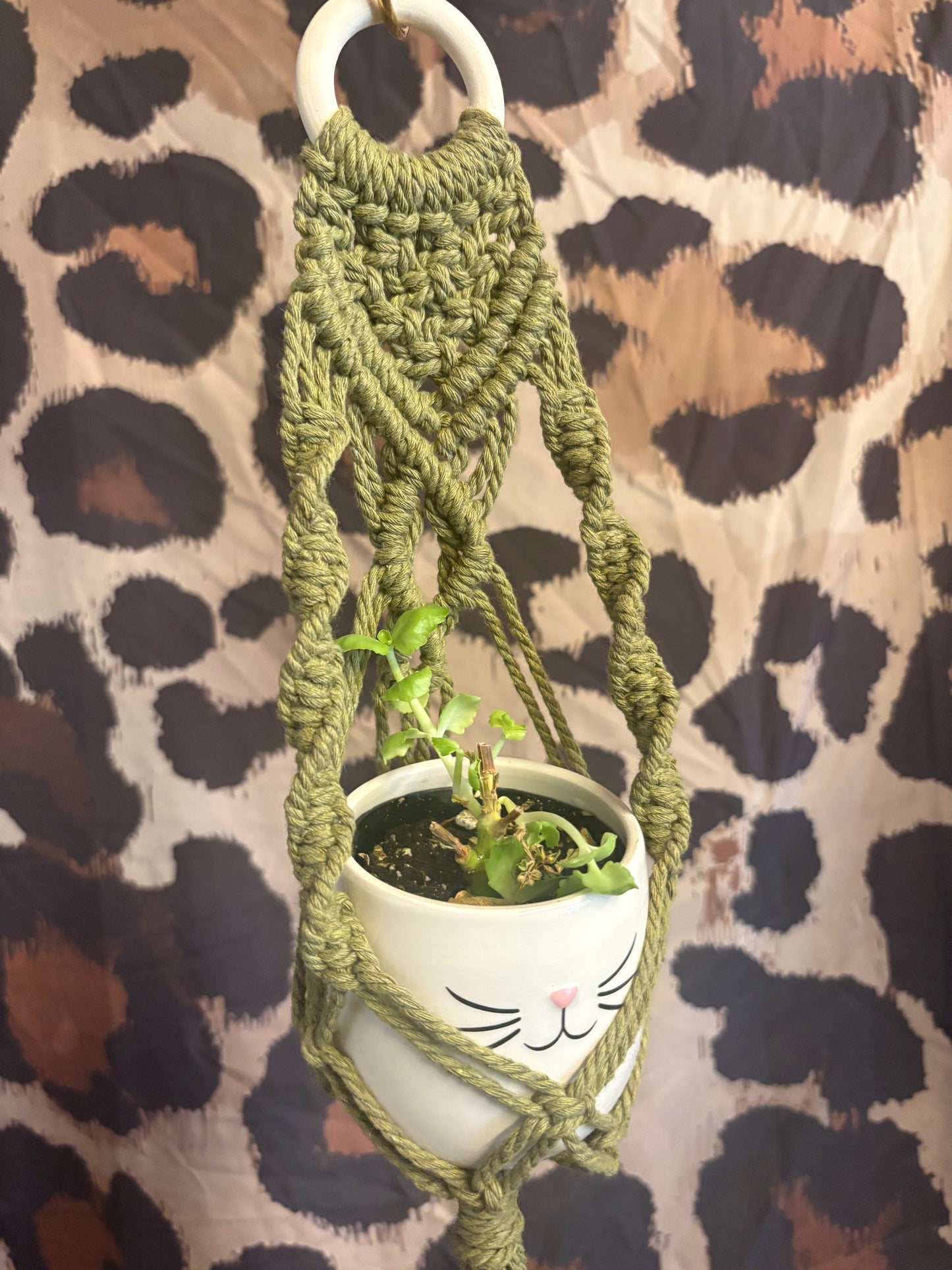 Plant hanger Small