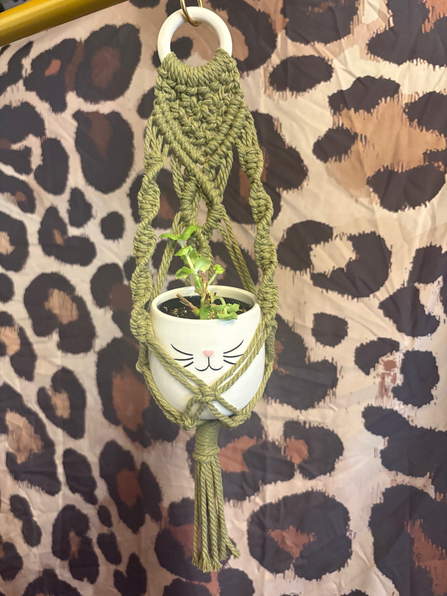 Plant hanger Small